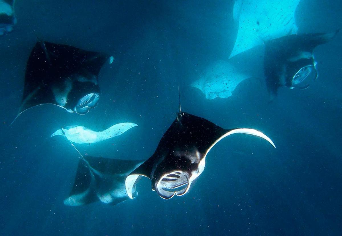 Manta Reserve Maalhos  Extérieur photo